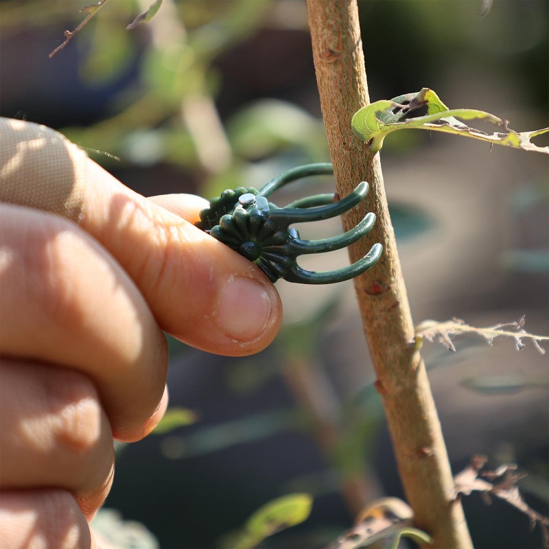 مشابك دعم النباتات الصغيرة بال - مراجعة Plant Parent Tools وسعره
