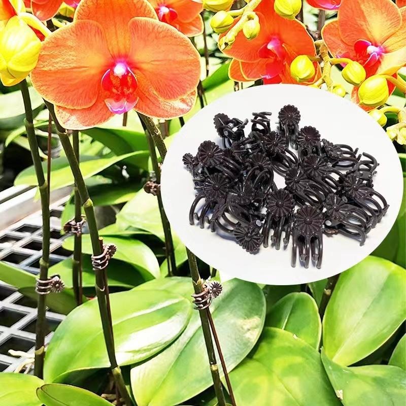 مشابك دعم النباتات الصغيرة بال - مراجعة Plant Parent Tools وسعره