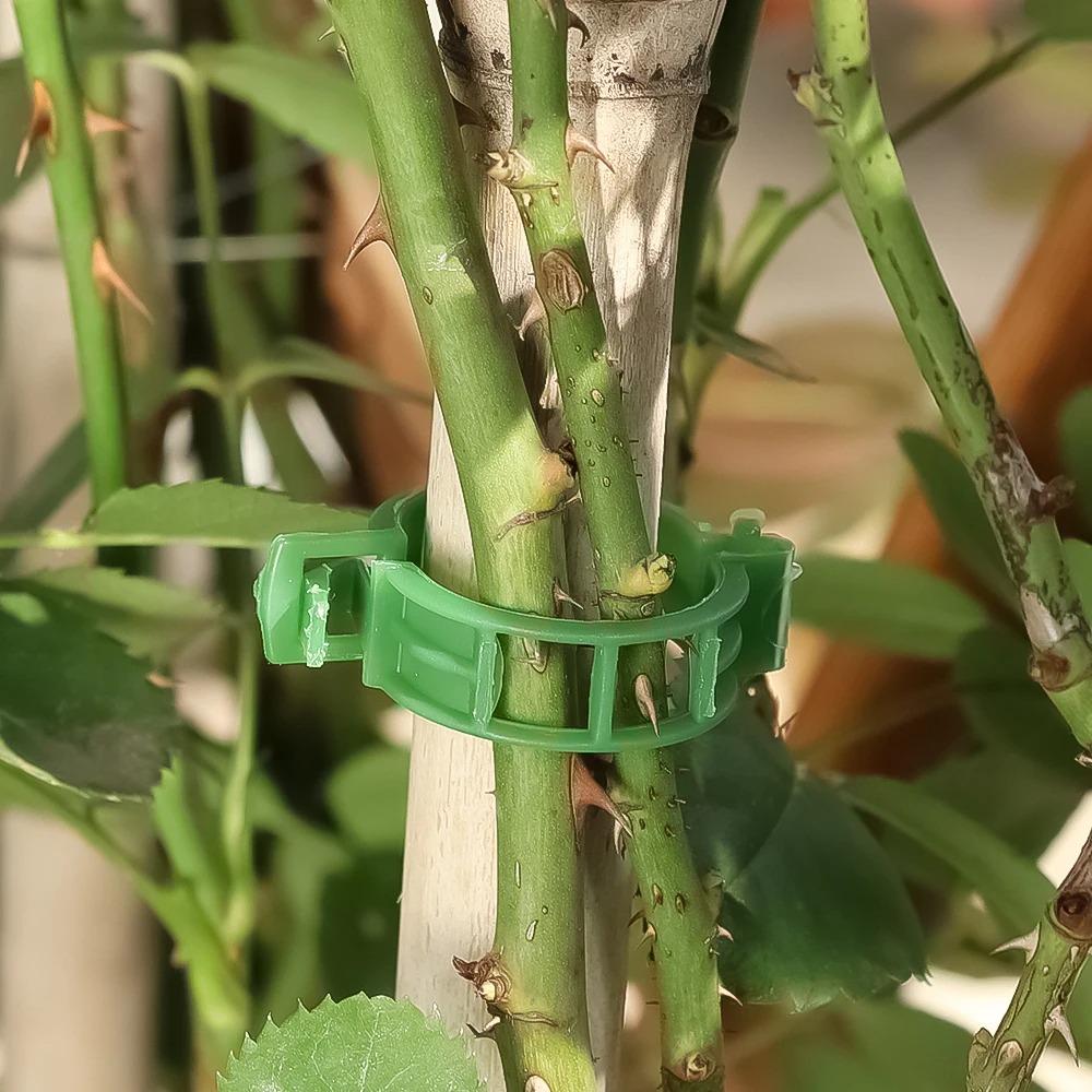 100/10 قطعة مشابك دعم النباتات - مراجعة Plant Parent Tools وسعره