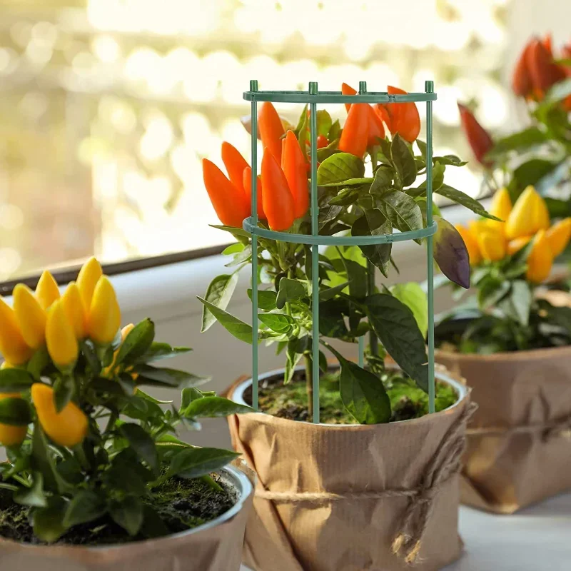 البلاستيك دعم النبات كومة حامل - مراجعة Plant Parent Tools وسعره