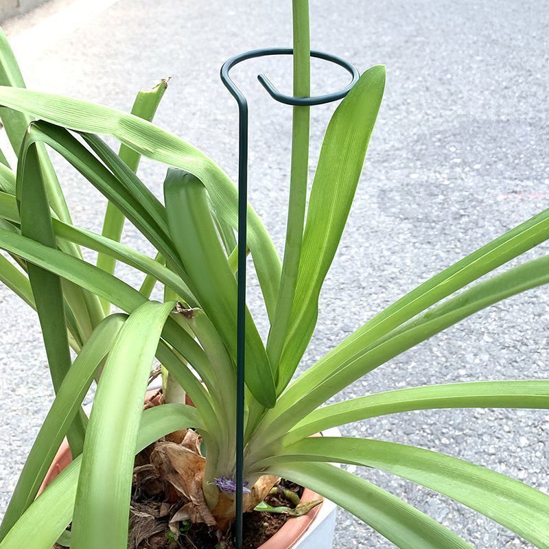 1-10 قطعة معدنية واحدة الجذعية - مراجعة Plant Parent Tools وسعره
