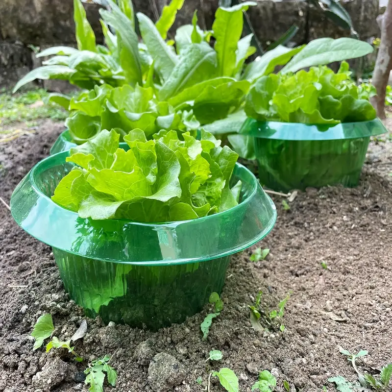 حلقات حماية سبيكة النباتات غطا - مراجعة Plant Parent Tools وسعره