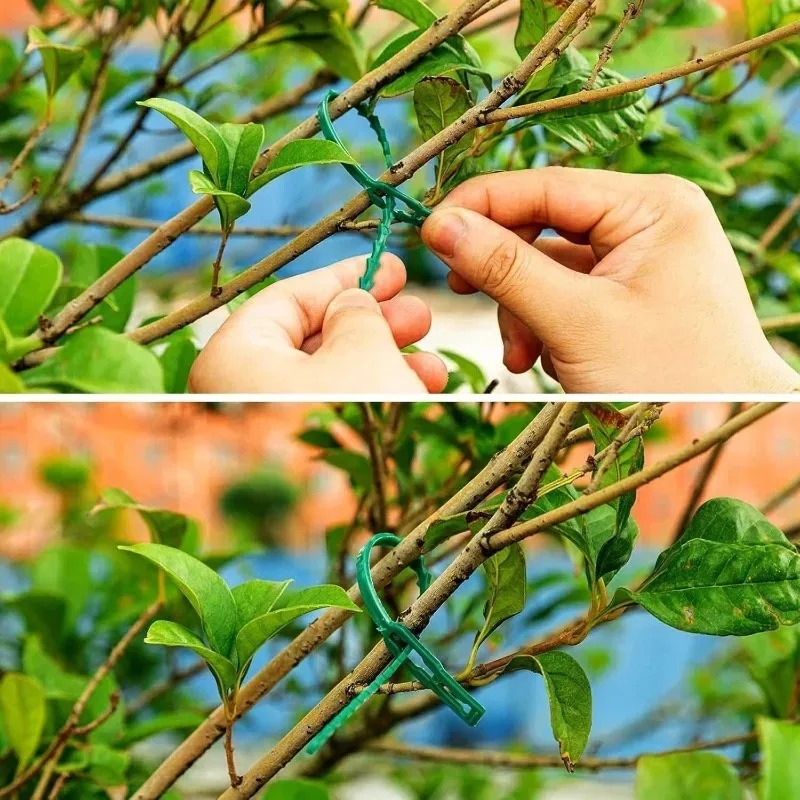 أربطة كابلات نايلون قابلة لإعا - مراجعة Plant Parent Tools وسعره